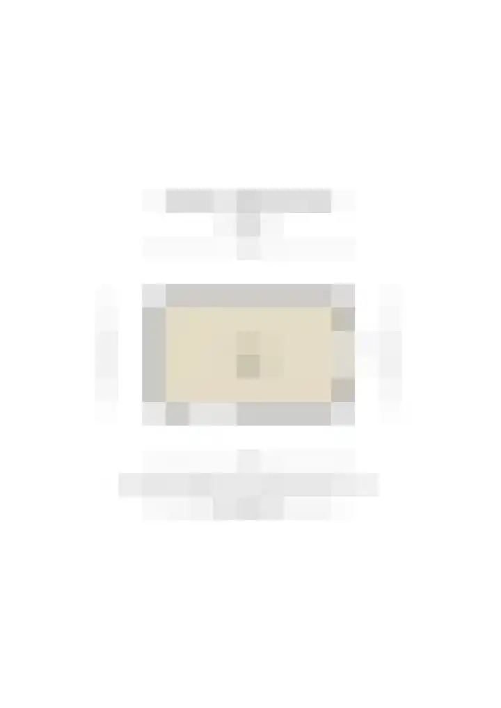 Rozenpad 42 Berkel en Rodenrijs thumbnail 44