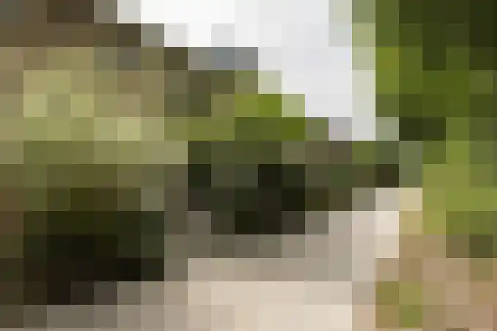 Rozenpad 42 Berkel en Rodenrijs thumbnail 5