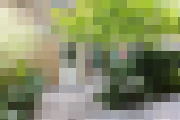 Rozenpad 42 Berkel en Rodenrijs thumbnail 7