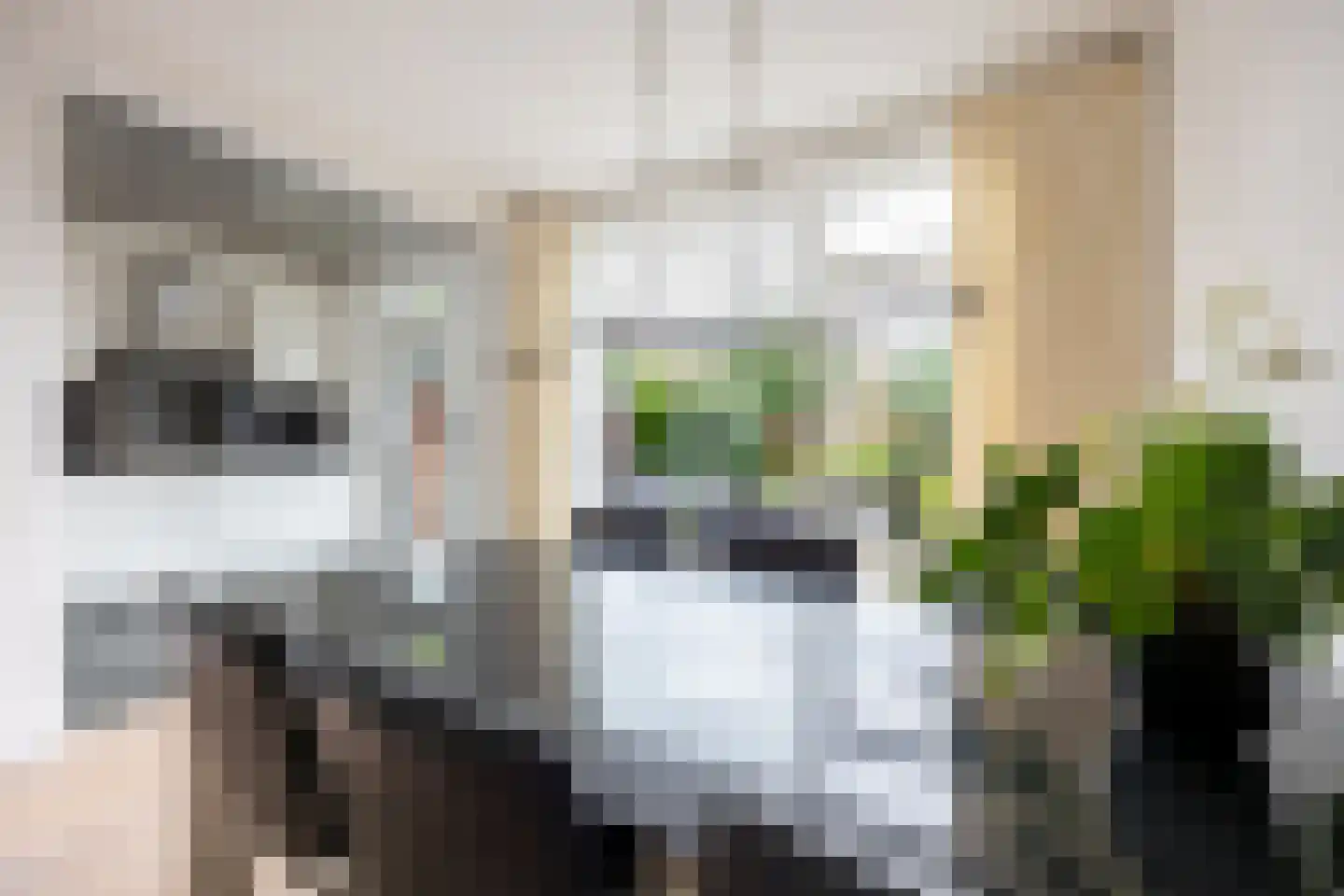 Rozenpad 48 Berkel en Rodenrijs thumbnail 13