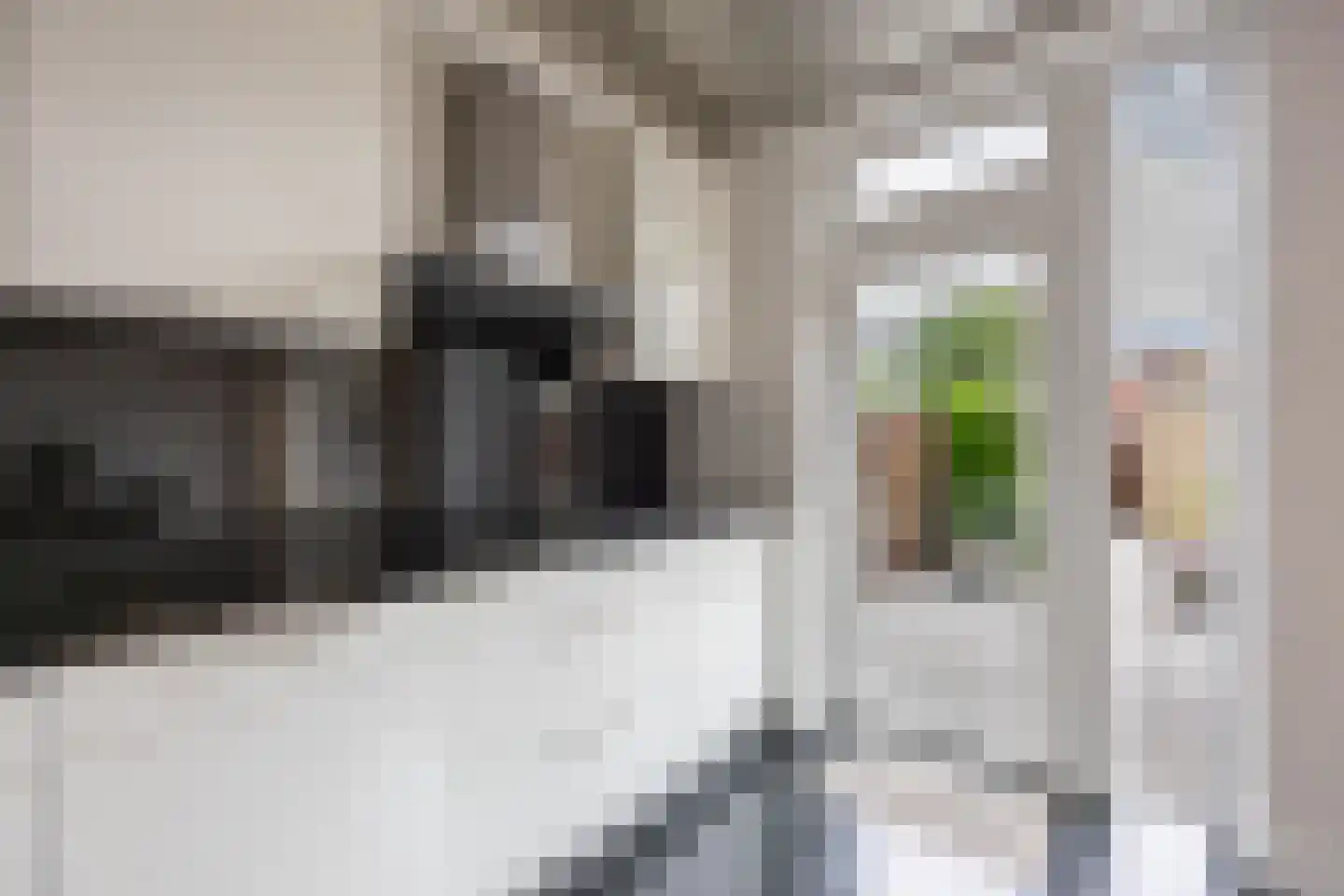 Rozenpad 48 Berkel en Rodenrijs thumbnail 15