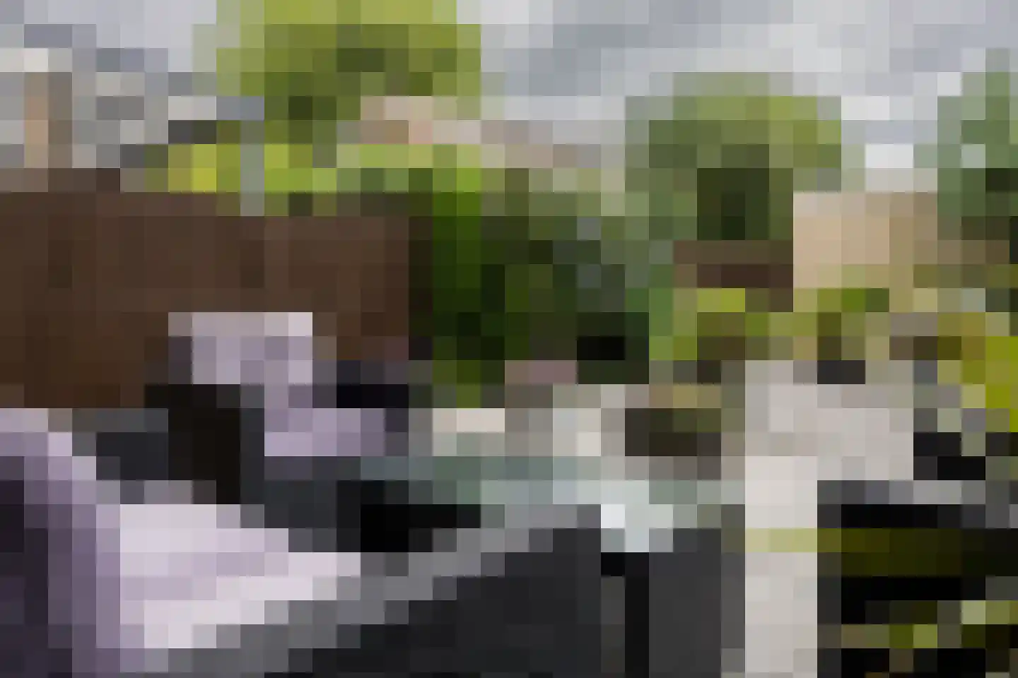 Rozenpad 48 Berkel en Rodenrijs thumbnail 17