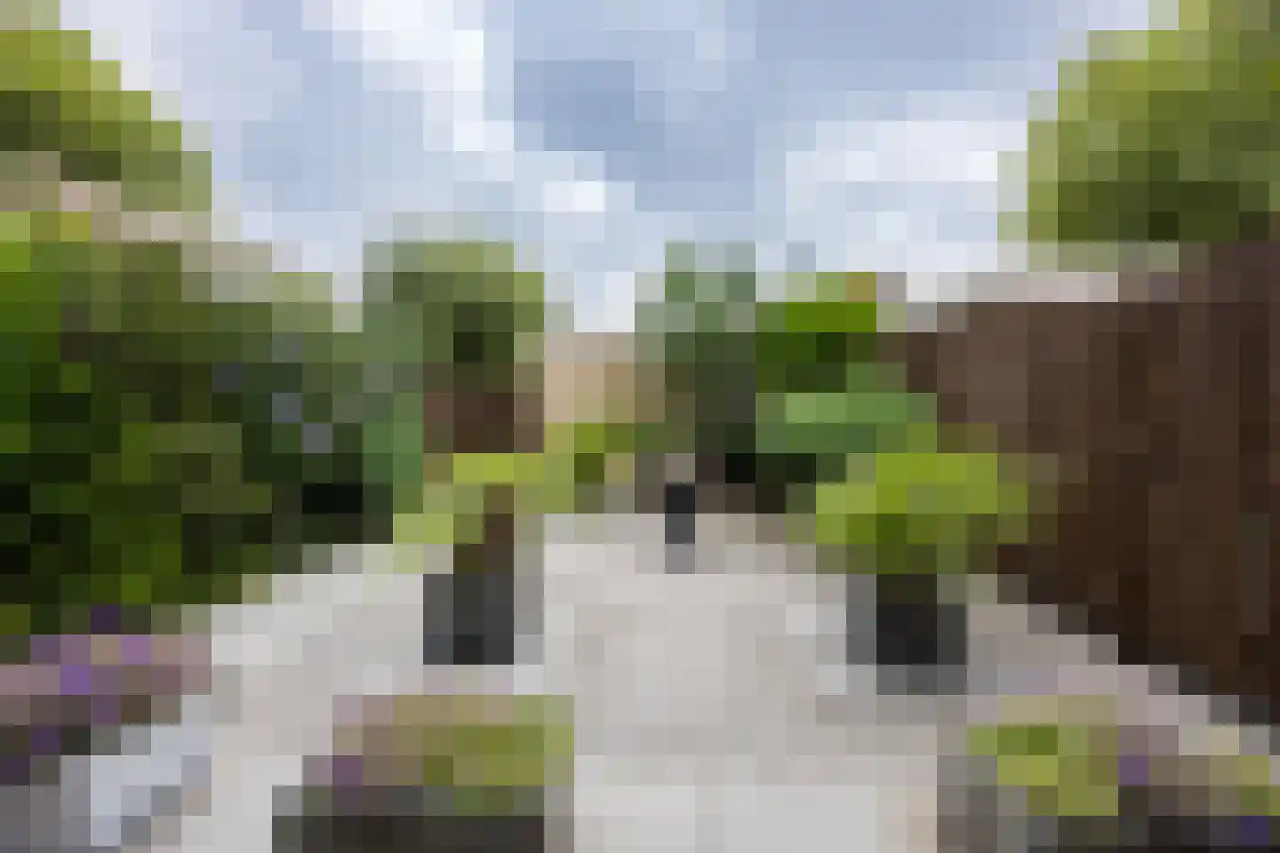 Rozenpad 48 Berkel en Rodenrijs thumbnail 18