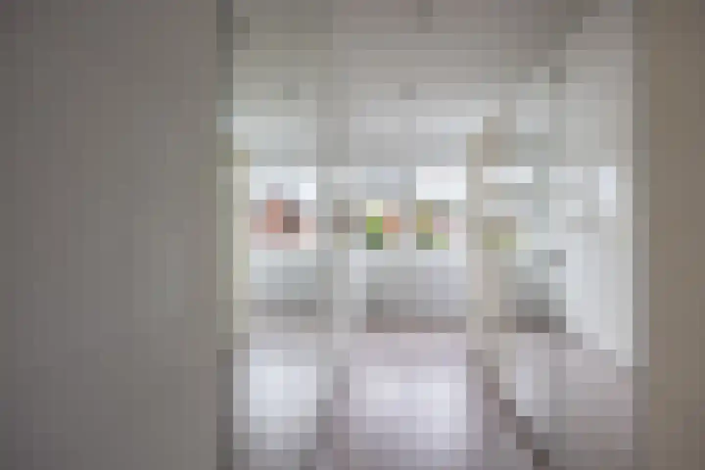 Rozenpad 48 Berkel en Rodenrijs thumbnail 29