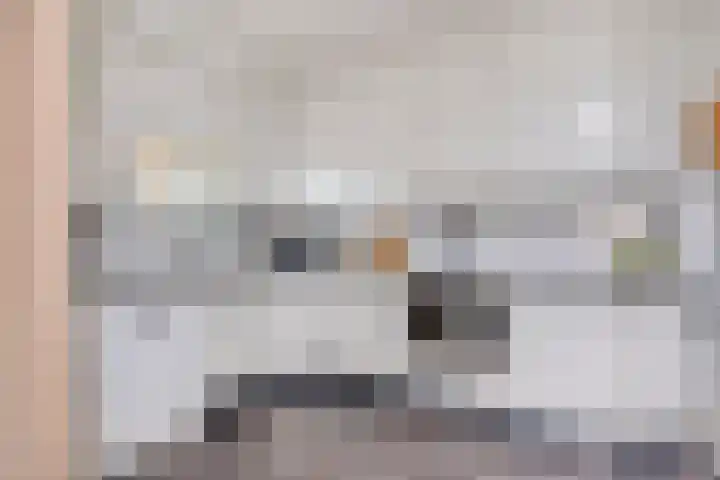 Rozenpad 6 Maarheeze thumbnail 18