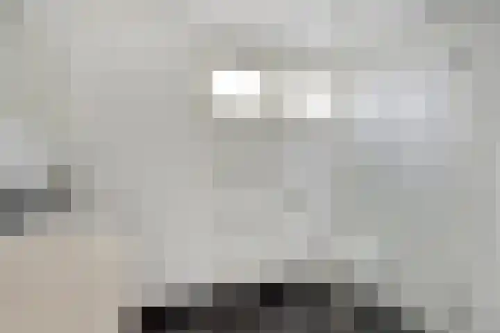 Rozenpad 6 Maarheeze thumbnail 25
