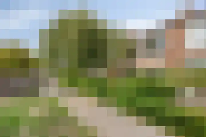 Rozenpad 6 Maarheeze thumbnail 31