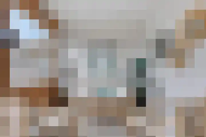Rozenpad 6 Maarheeze thumbnail 6
