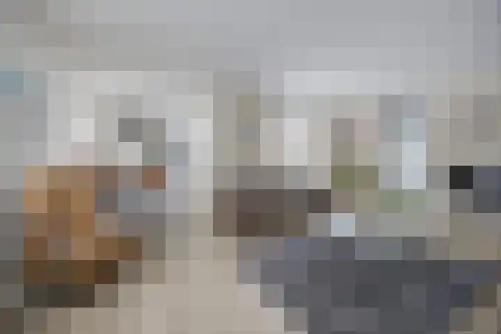 Rozenpad 8 Hoeven thumbnail 10