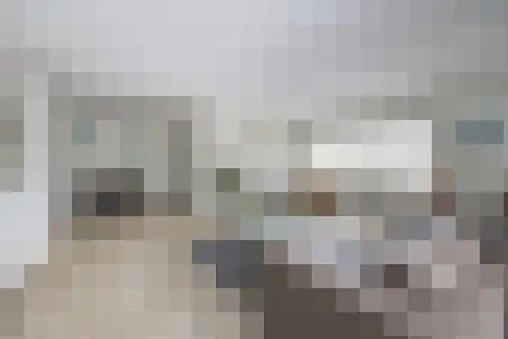 Rozenpad 8 Hoeven thumbnail 15