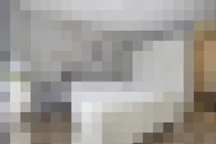 Rozenpad 8 Hoeven thumbnail 19