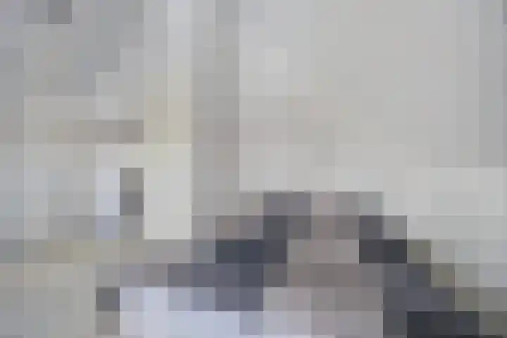 Rozenpad 8 Hoeven thumbnail 30
