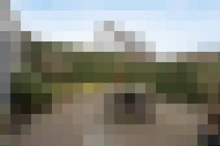 Rozenpad 8 Hoeven thumbnail 33
