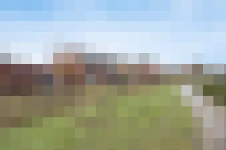 Rozenpad 8 Hoeven thumbnail 38