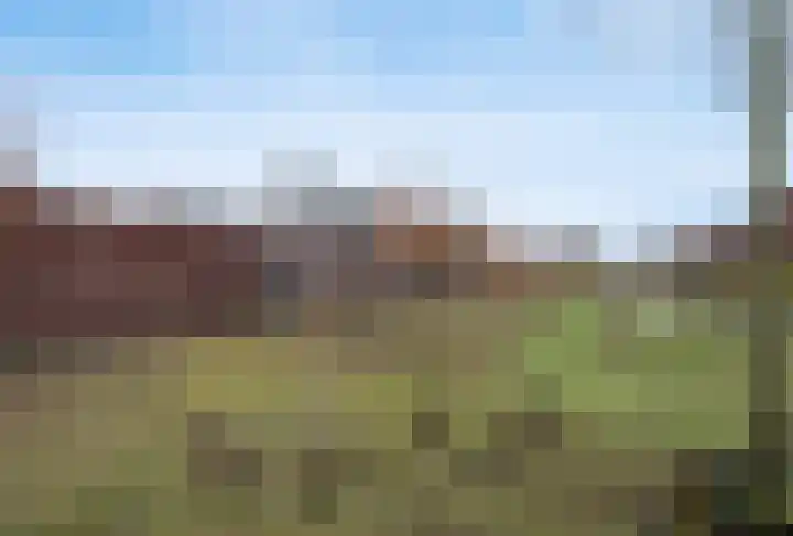 Rozenpad 8 Hoeven thumbnail 40