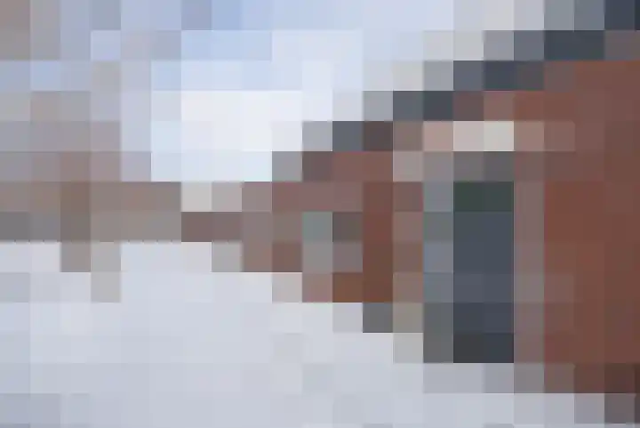 Rozenpad 8 Hoeven thumbnail 44