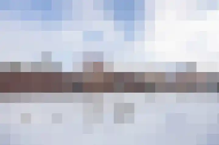 Rozenpad 8 Hoeven thumbnail 47
