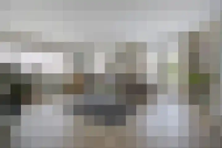 Rozenpad 8 Hoeven thumbnail 8