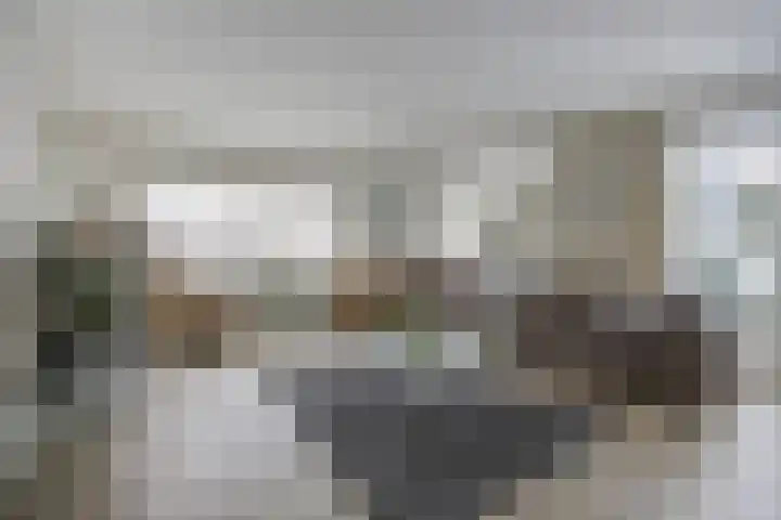 Rozenpad 8 Hoeven thumbnail 9