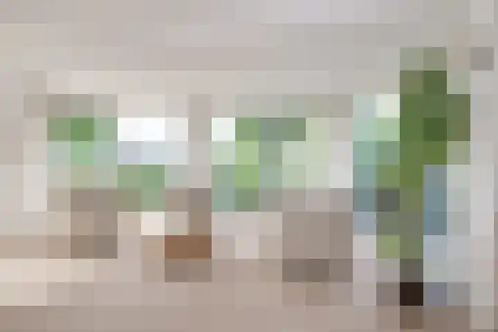 Rozenpas 1 a Kilder thumbnail 15
