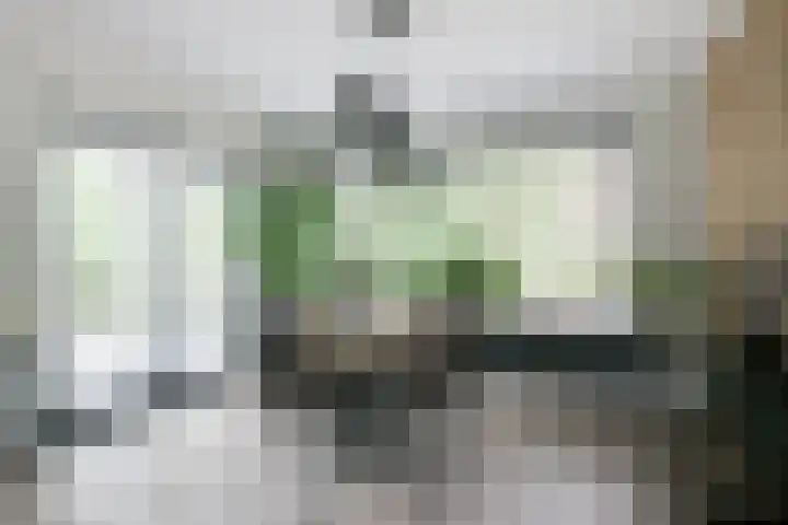 Rozenpas 4 Kilder thumbnail 11