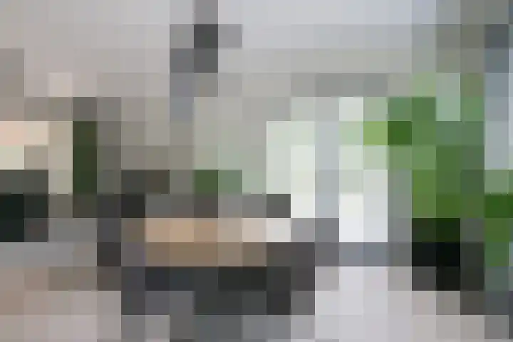 Rozenpas 4 Kilder thumbnail 12