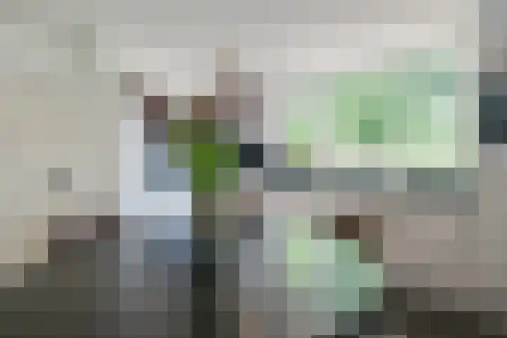 Rozenpas 4 Kilder thumbnail 14