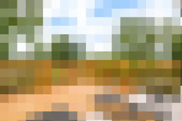 Rozenpas 4 Kilder thumbnail 28