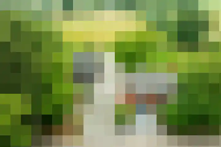 Rozenpas 4 Kilder thumbnail 37