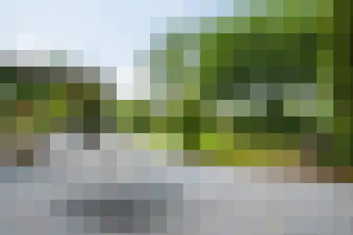 Rozenpas 4 Kilder thumbnail 44