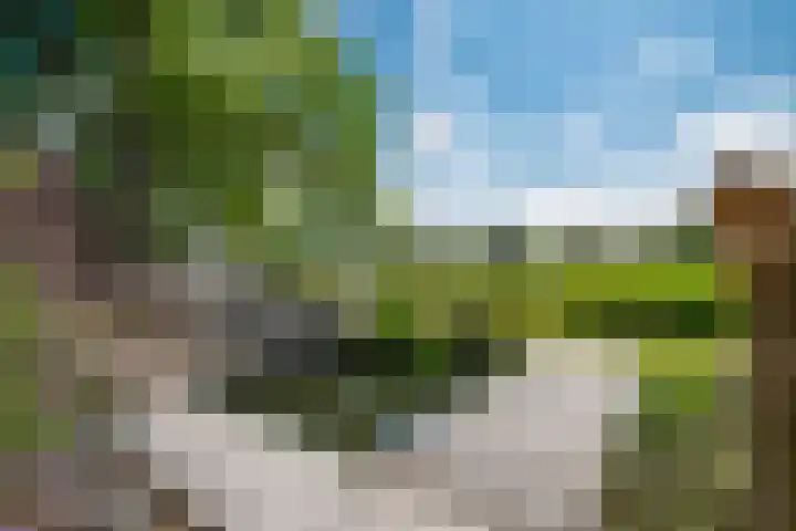 Rozenpas 4 Kilder thumbnail 46