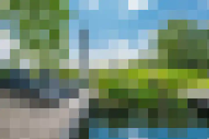 Rozenpas 4 Kilder thumbnail 47
