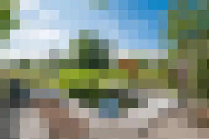 Rozenpas 4 Kilder thumbnail 5