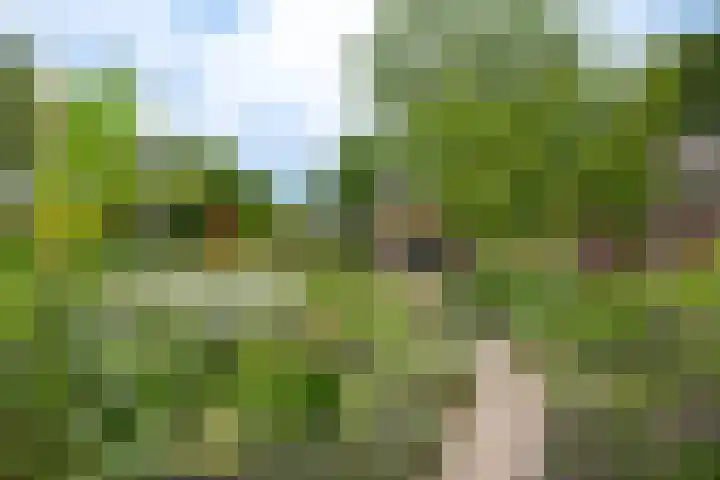 Rozenpas 4 Kilder thumbnail 50