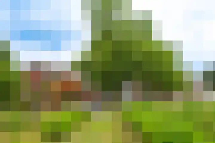 Rozenpas 4 Kilder thumbnail 51