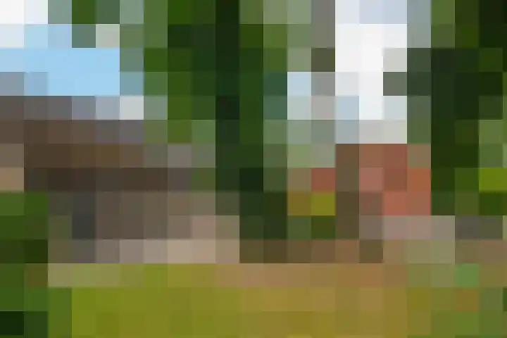 Rozenpas 4 Kilder thumbnail 54