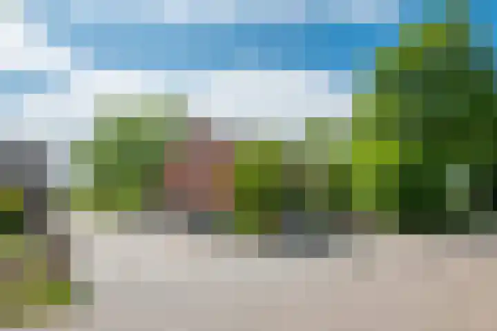 Rozenpas 4 Kilder thumbnail 58