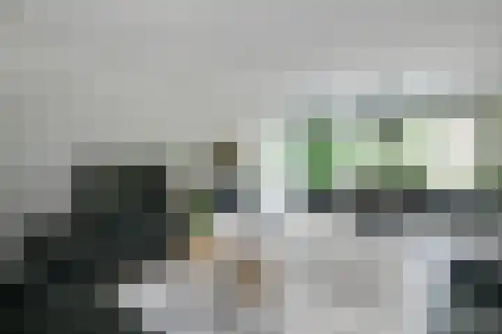 Rozenpas 4 Kilder thumbnail 9