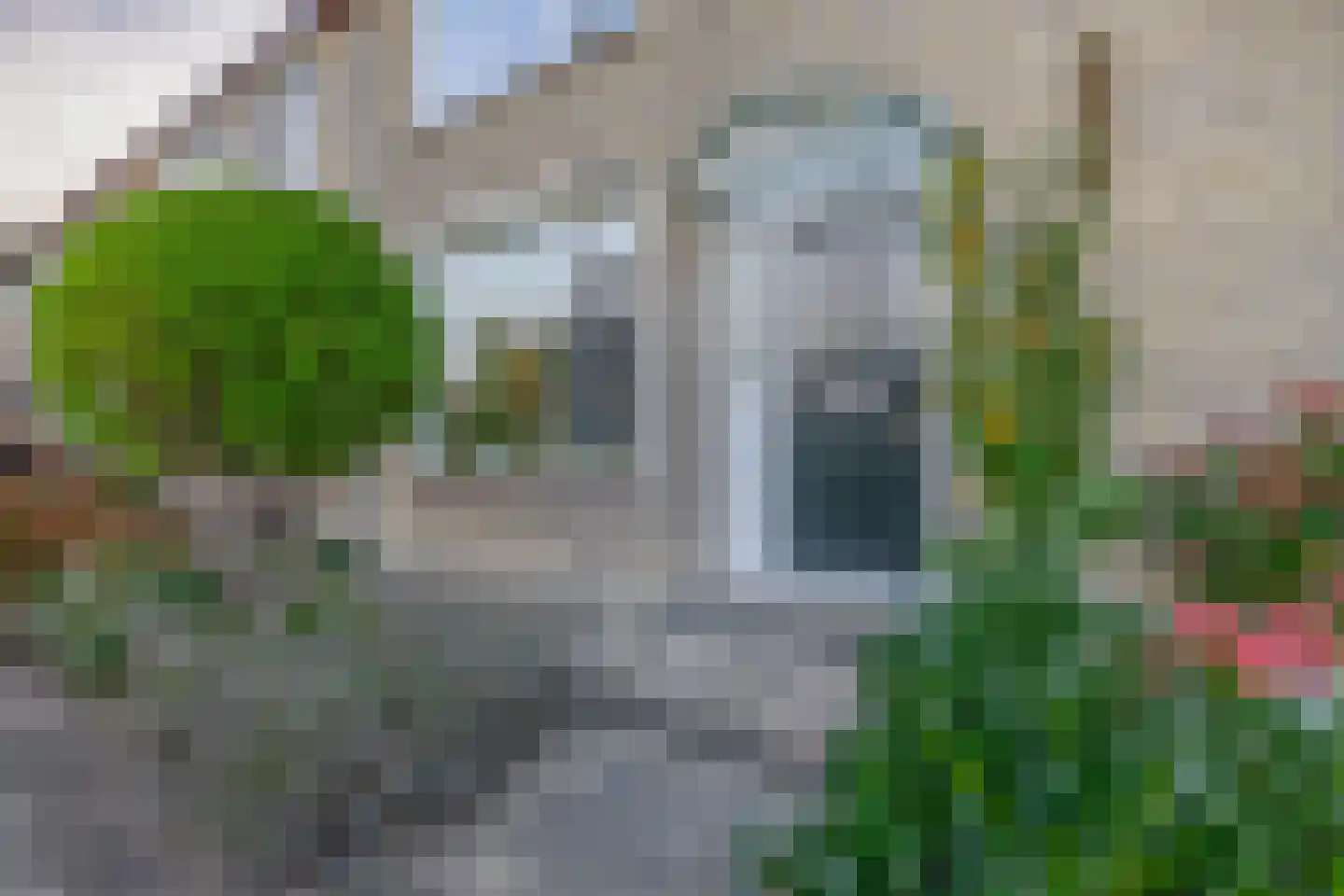 Rozenplantsoen 16 Moordrecht thumbnail 5