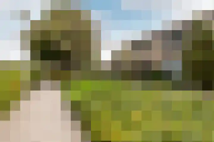 Rozenplantsoen 40 Moordrecht thumbnail 38