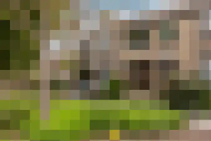 Rozenplantsoen 40 Moordrecht thumbnail 39