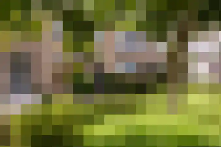 Rozenplantsoen 40 Moordrecht thumbnail 40