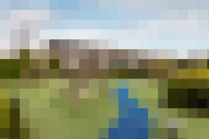Rozenplantsoen 40 Moordrecht thumbnail 41
