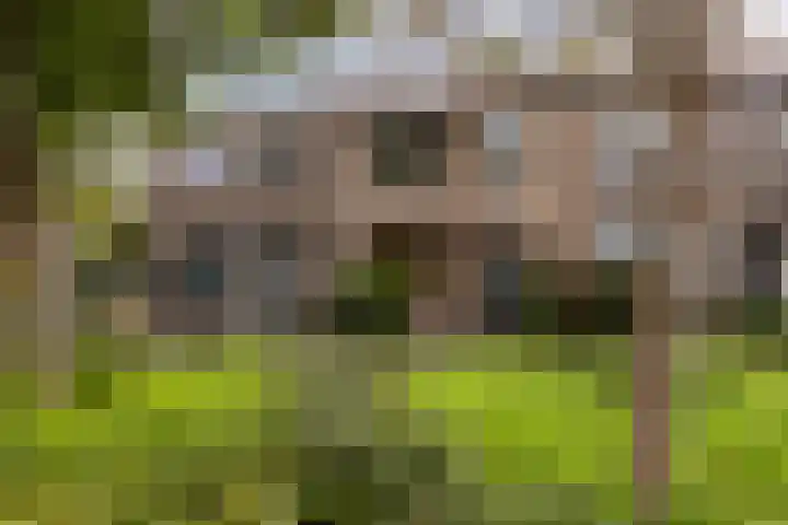 Rozenplantsoen 40 Moordrecht thumbnail 6