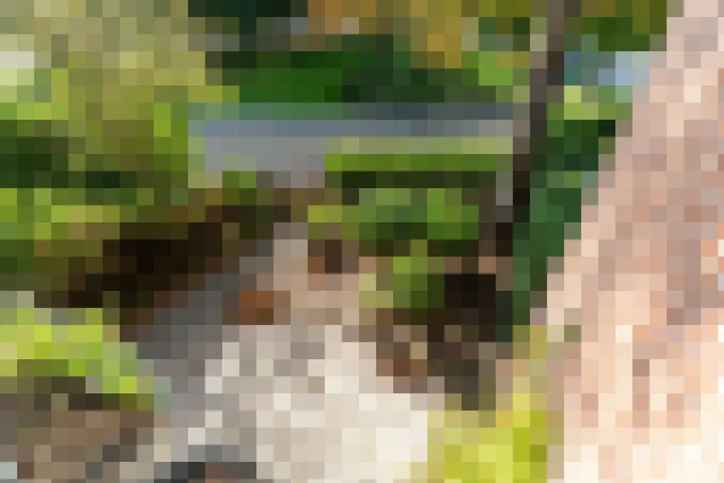 Rozenplein 20 Wassenaar thumbnail 18