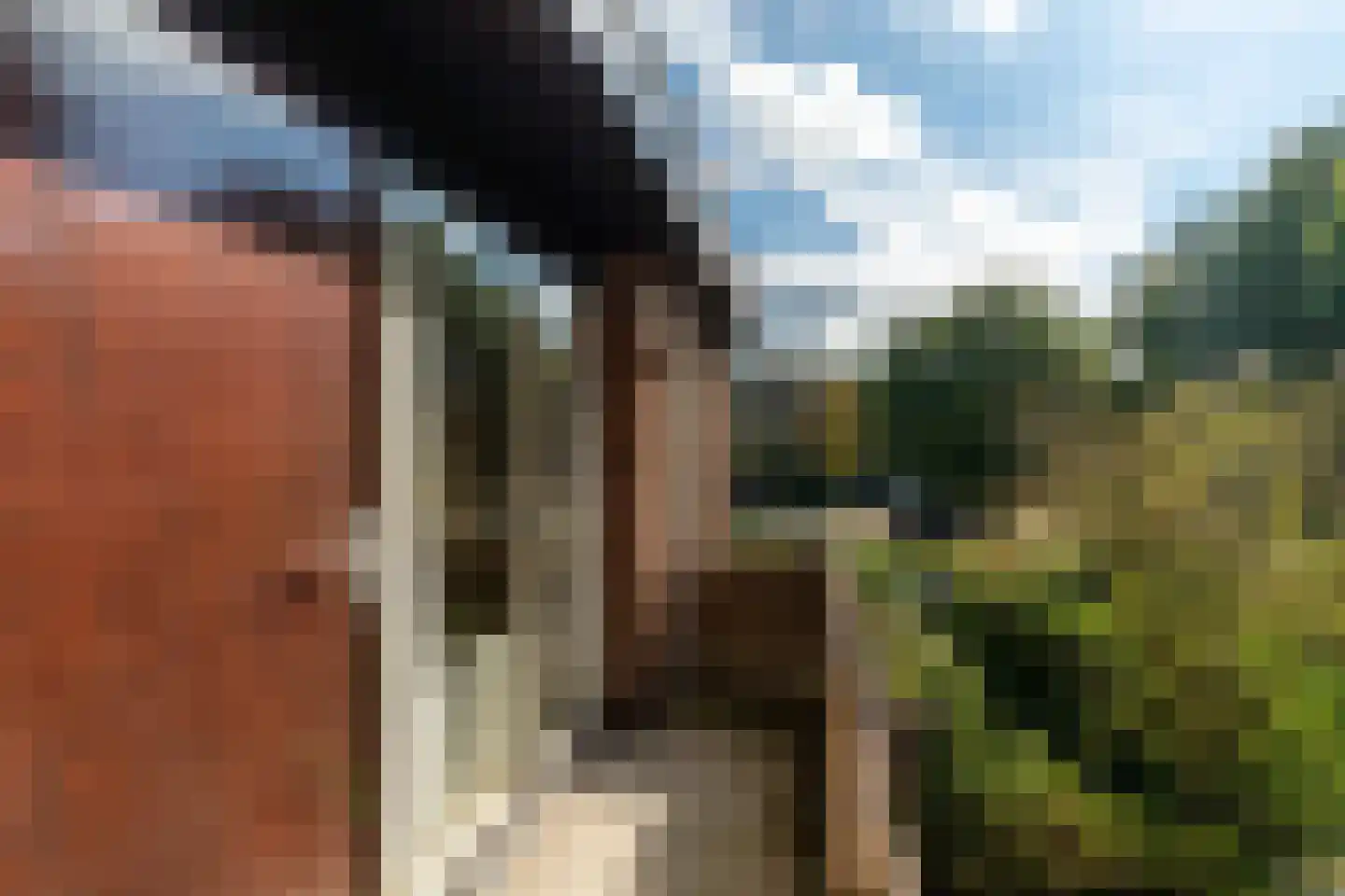 Rozenplein 20 Wassenaar thumbnail 19