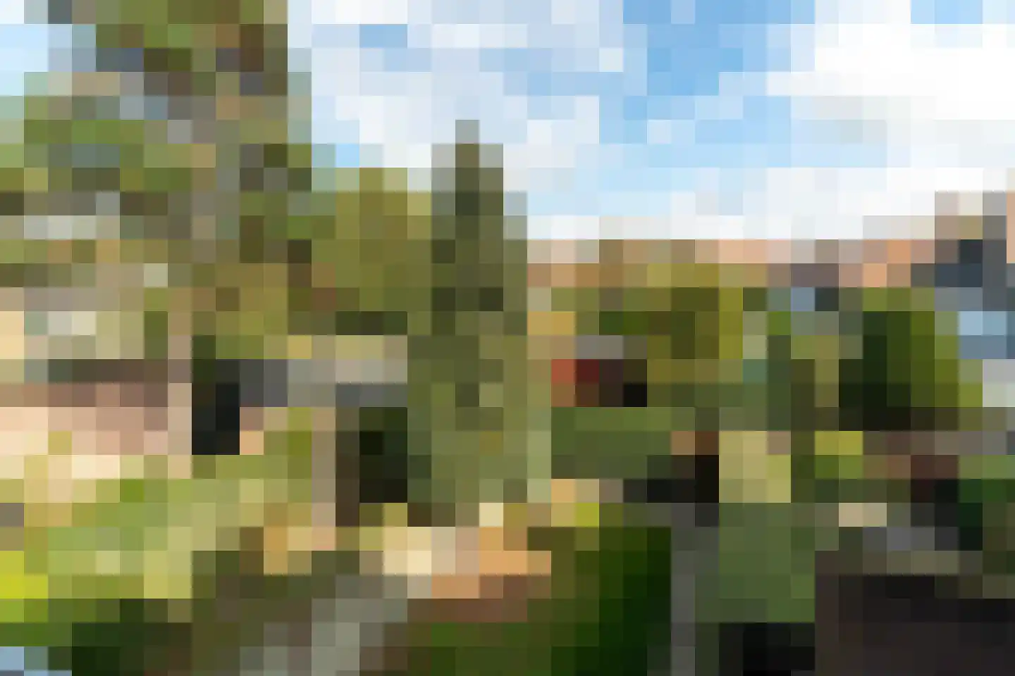 Rozenplein 20 Wassenaar thumbnail 29