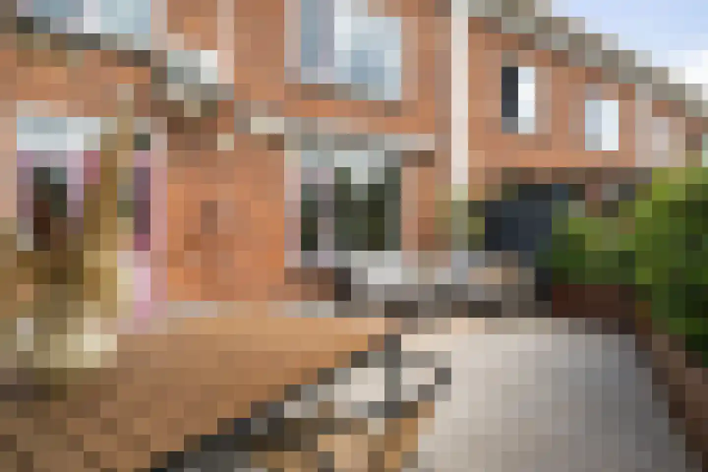 Rozenplein 43 Ede thumbnail 45