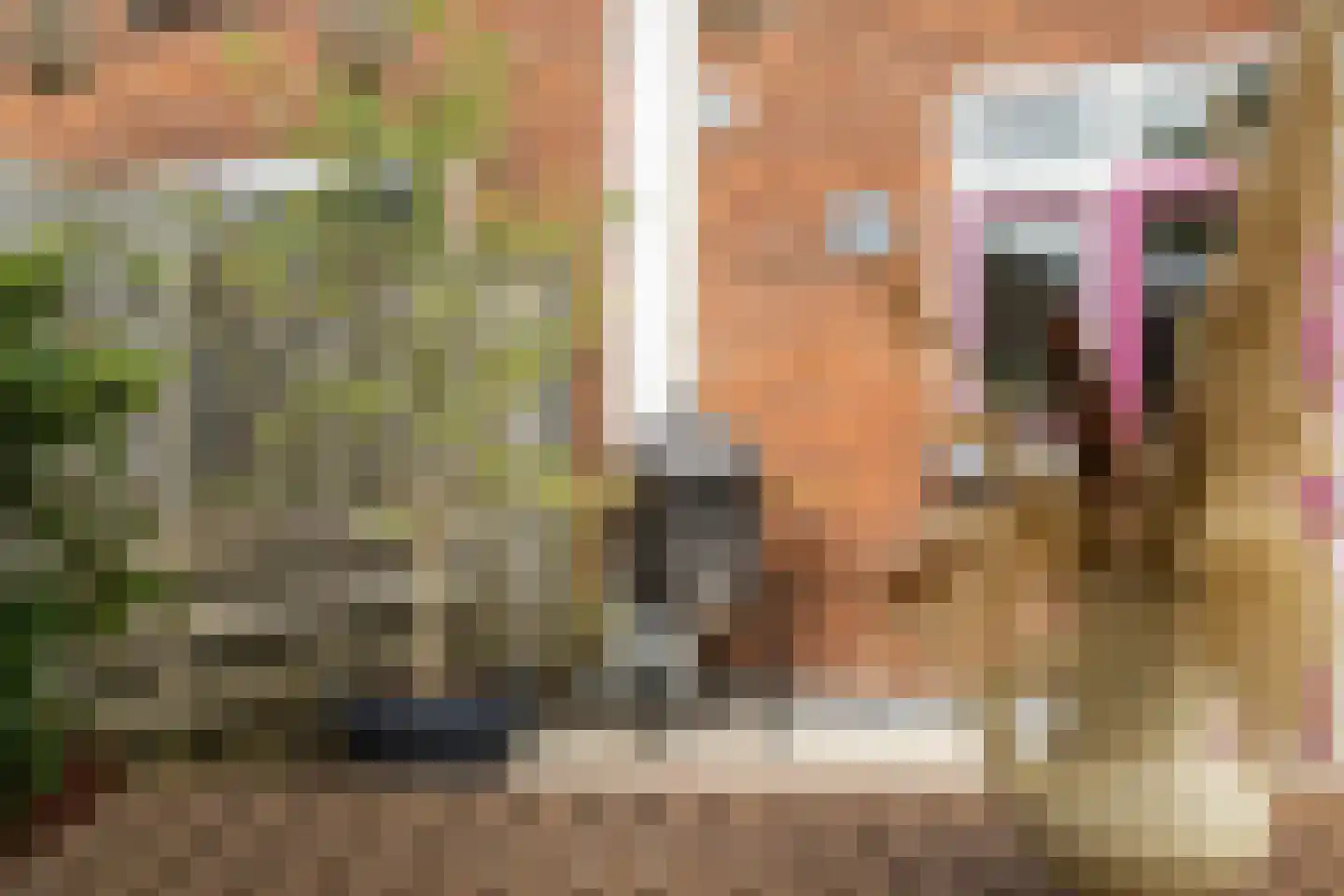Rozenplein 43 Ede thumbnail 50