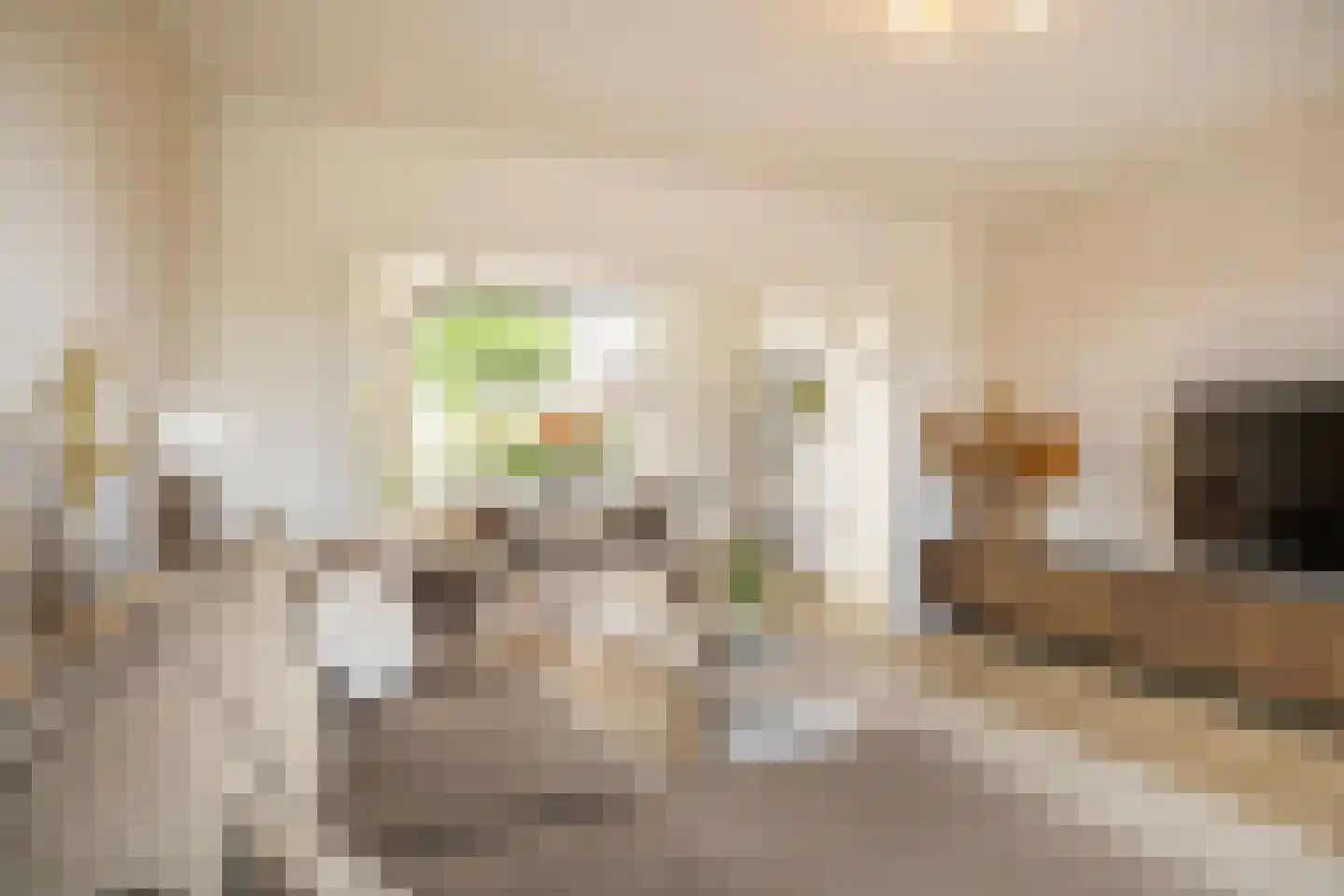 Rozenplein 43 Ede thumbnail 7